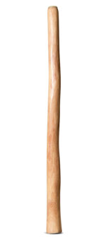Medium Size Natural Finish Didgeridoo (TW1548)